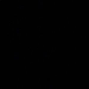 Meet your Posher, Braden